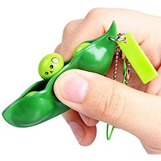 soybean fidget keychain