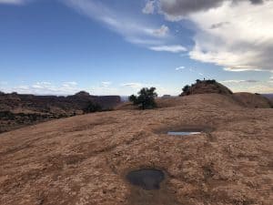 Whale Rock